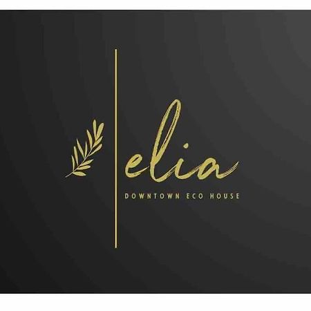 Elia Downtown Eco House Apartment Mytilene ภายนอก รูปภาพ